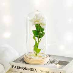 Acrylic Dome Eternal Rose Artificial Flowers Gift for Valentine Wedding Birthday Home Decor Room Desk Decorations Fake Flowers