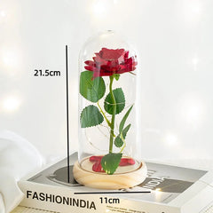 Acrylic Dome Eternal Rose Artificial Flowers Gift for Valentine Wedding Birthday Home Decor Room Desk Decorations Fake Flowers