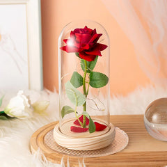 Acrylic Dome Eternal Rose Artificial Flowers Gift for Valentine Wedding Birthday Home Decor Room Desk Decorations Fake Flowers